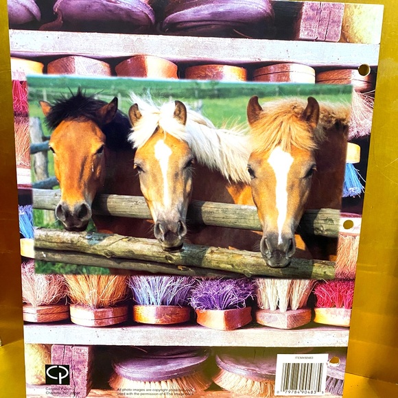HORSES VINTAGE 90’s PORTFOLIO 3 RING BINDER FOLDERS BUNDLE OF 3 GREAT FOR SCHOOL - Picture 3 of 13